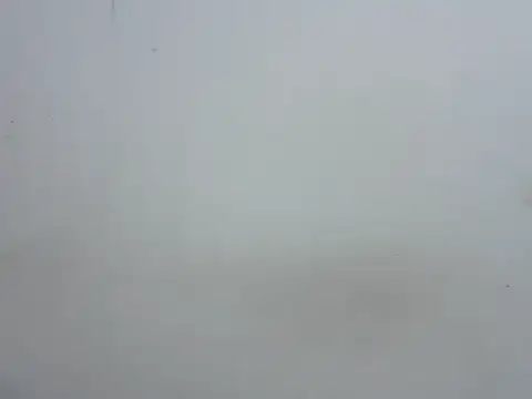 prettybeee 웹캠 쇼