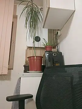 AdaJoy Live XXX-chat