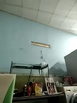 Famrita 网络视讯表演