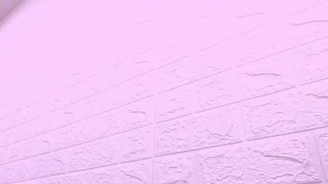 kat_96_ élő XXX-chatje