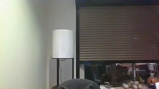 Wesleymodel Webcam Show