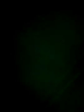 kalambu3 ওয়েবক্যাম শো