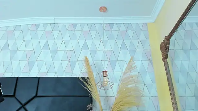 AronGarcia – Kamerová šou