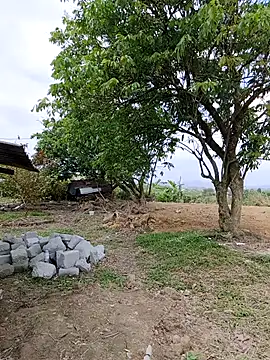 lyna_bl ওয়েবক্যাম শো