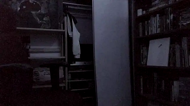 Show Webcam de spicylaboi