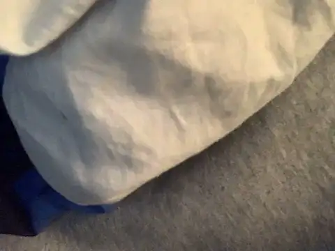 GeilerHSVFAN1989 Pertunjukan Webcam