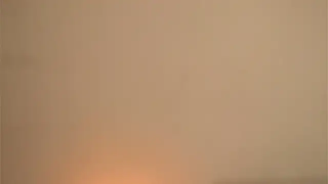 Sweet_Sammy_n Live XXX chat