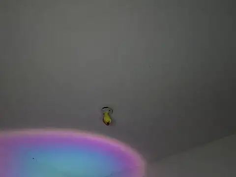 Ale_xandra 라이브 XXX 채팅