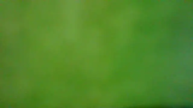 Miaswwe – Live XXX-chat