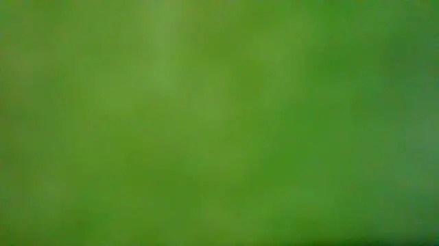 Miaswwe Chat XXX in diretta