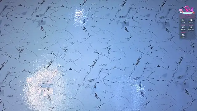 دردشة andrea_miller1 الجنسية المباشرة