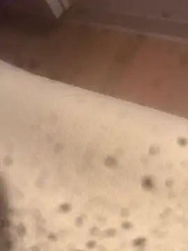 solomecのウェブカメラショー