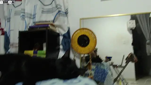 แชท XXX สดของ AlinaWoolf_