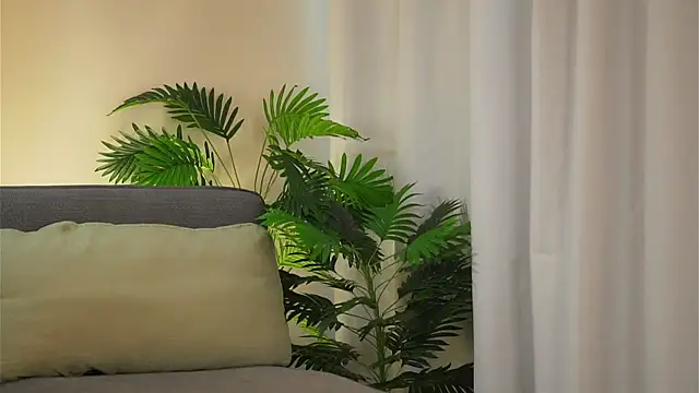 แชท XXX สดของ akumadadrive