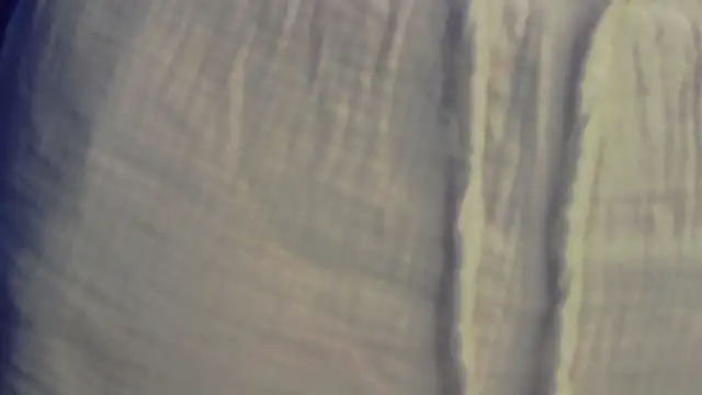 AmisRayy live XXX chat