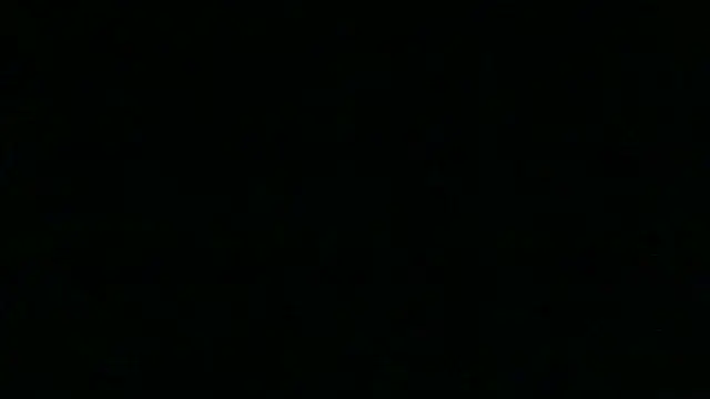 Show webcam de Chichoplus1