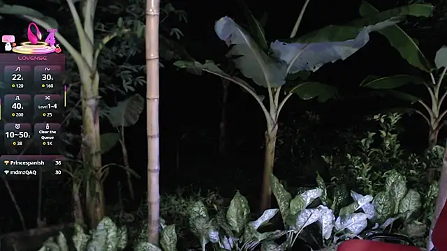 Chat XXX ao vivo de esmeralda_li