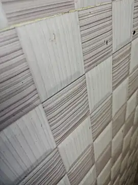 67sanju Pertunjukan Webcam