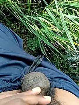 dolphiinnn Webbikameraesitys