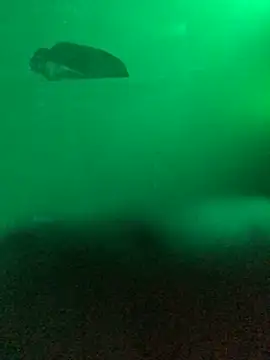 babyke23: διαδικτυακό σόου στην κάμερα