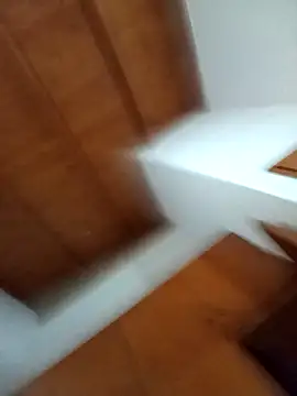 rocco3011 webcam show