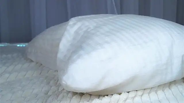 FalineBeacher 现场XXX聊天