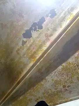 Chat XXX en directo de Cogelonregio