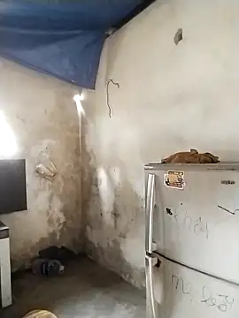 Show de webcam de dorothyxx