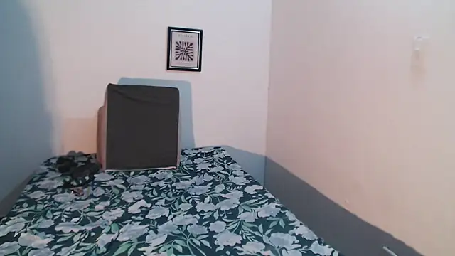 Vlad__night Webcam-Show