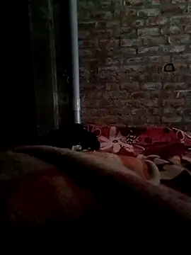 CoralNoise42 – Kamerová šou