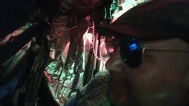 Show webcam de thecoolarrow