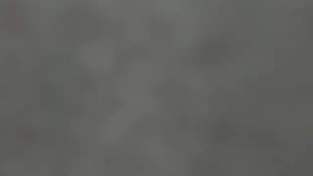 Thommas8a live XXX chat