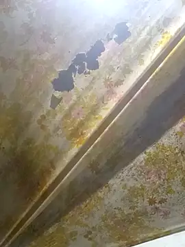 Cogelonregio: απευθείας συνομιλία ΧΧΧ