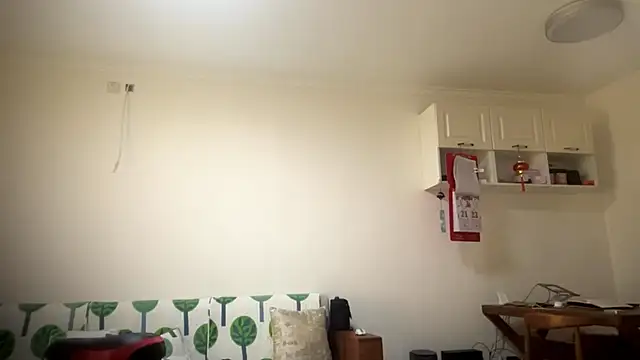 EdythRozier 웹캠 쇼