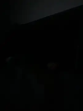 Webkamerová show bigsmooth312