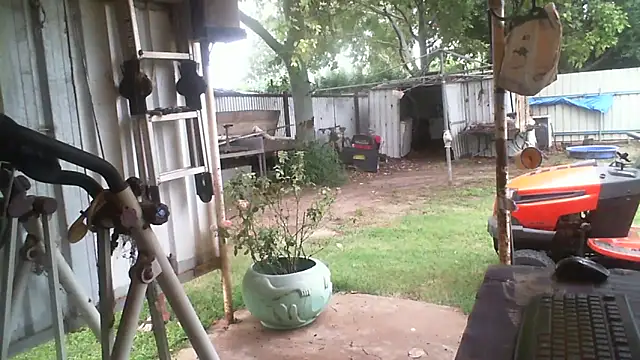 herbie010666 Chat XXX in diretta