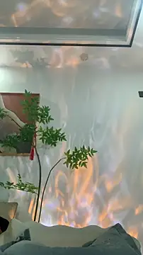 Chat XXX Live zhizhinaigai