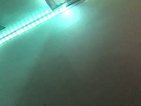 tattooed4you webkamerás műsora