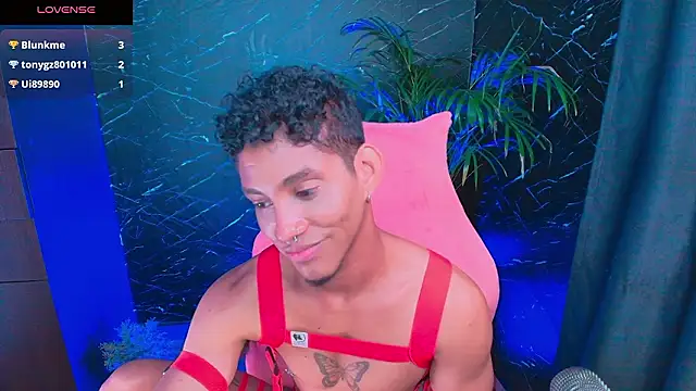 Show webcam de Palo_santo