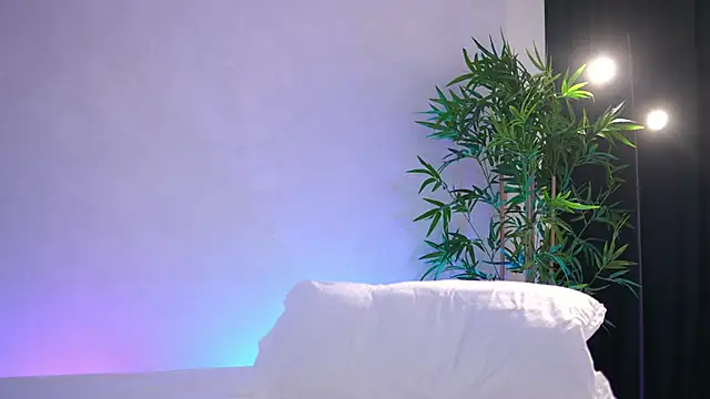 ArtTeasee 现场XXX聊天