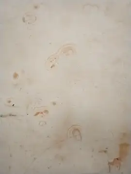 عرض كام Sapna_baby1