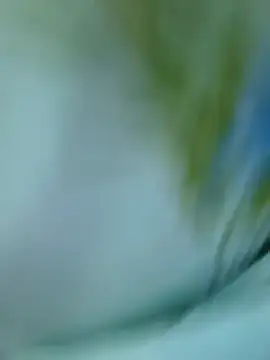 Chat XXX en directo de Crazycat-Telugu