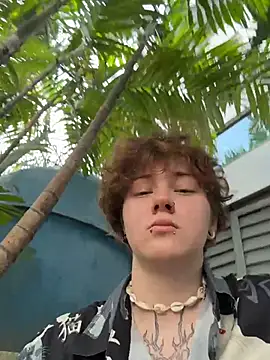 Pokazy przed kamerką – IceMur