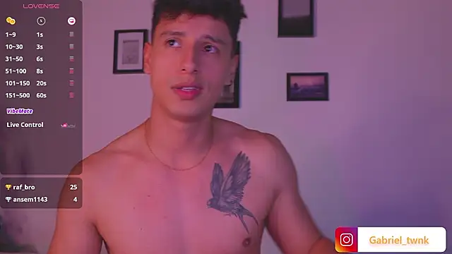 Вебкам-шоу I_Gabriel