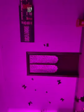 LXR77887 webkamerás műsora