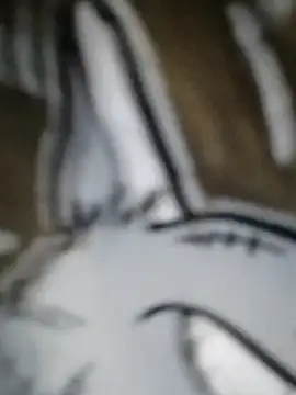 Sembang XXX Secara Langsung Laxmi_89