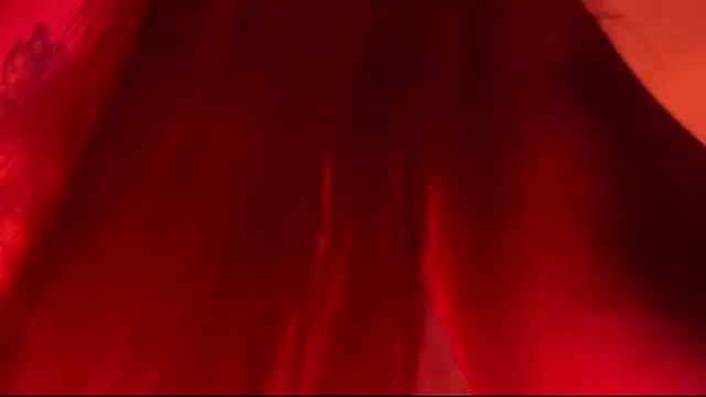 SweetJennaa Live XXX-Chat