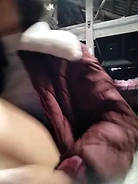 عرض كام Sinejdk3