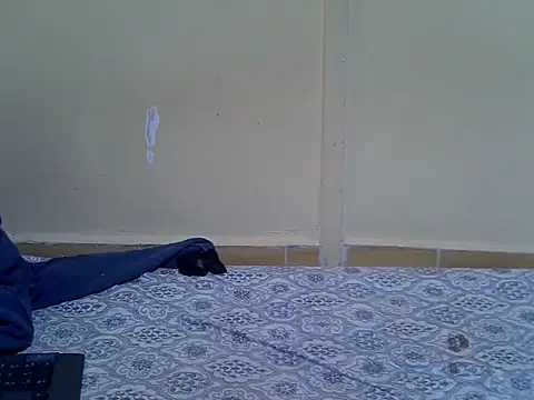 Melia0 Live XXX-chat