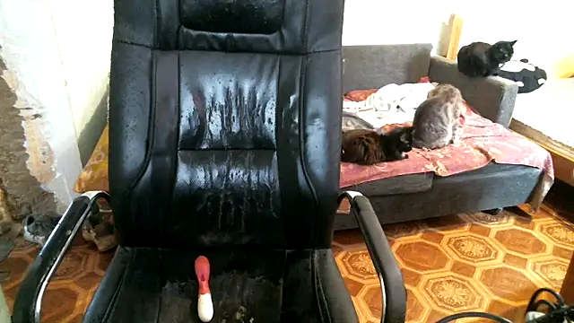 DennisXCarollのライブXXXチャット